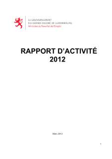 Rapport d'activité 2012 du ministère du Travail et de l'Emploi