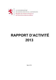 Rapport d'activité 2013 du ministère du Travail et de l'Emploi