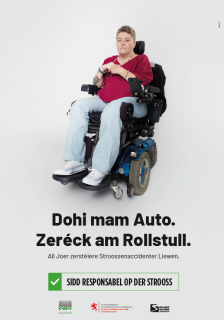 Affiche Rollstuhl 