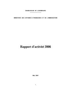, Rapport d'activité 2006 du ministère des Affaires étrangères et de l'Immigration