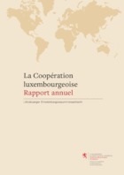Rapport annuel 2010 de la Coopération luxembourgeoise