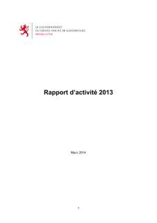 GRAND-DUCHE DE LUXEMBOURG, Rapport d'activité 2013 du ministère d'État