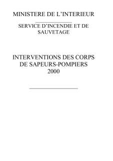Rapport d'activité 2000 du ministère de l'Intérieur - Service d'incendie et de sauvetage
