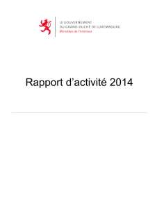 Rapport d'activité 2014 du ministère de la Sécurité intérieure