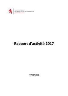 Rapport d'activité 2017 du ministère de la Justice