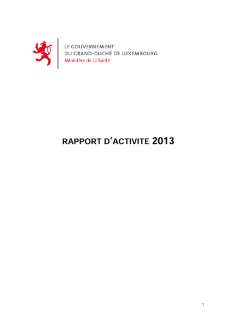 Rapport d'activité 2013 du ministère de la Santé