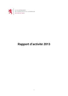 , Rapport d'activité 2013 du ministère des Sports