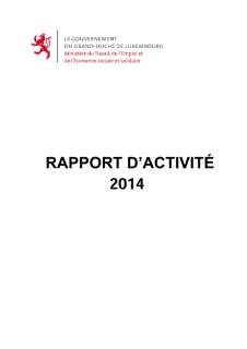 Rapport d'activité 2014 du ministère du Travail, de l'Emploi et de l'Économie sociale et solidaire