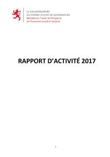 Rapport d'activité 2017 du ministère du Travail, de l'Emploi et de l'Économie sociale et solidaire