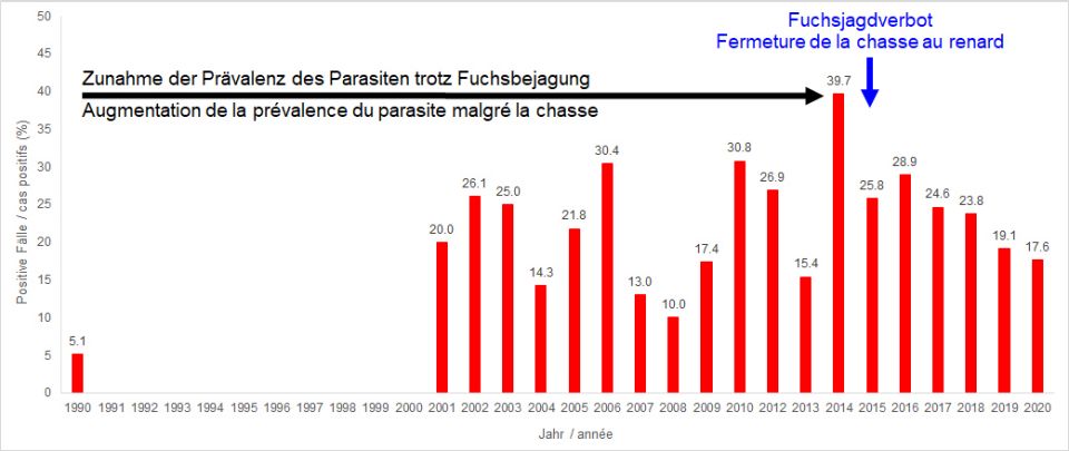 Graphik Fuchsbandwurm 2001-2020