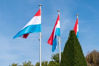 Illustration: drapeaux luxembourgeois