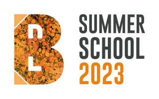 Logo de la BnL Summer School  - édition de 2023