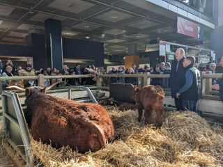 Claude Haagen, ministre de l’Agriculture, de la Viticulture et du Développement rural, avec Olivia, vache de la race Salers, mascotte du SIA 2023, et un éleveur Salers