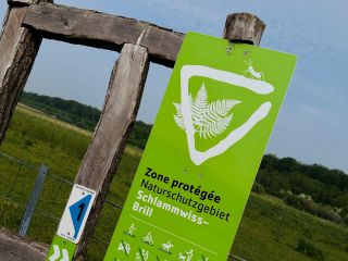 Inauguration du projet de pâturage d’intégrité écologique à buffles d’eau à Mensdorf (zone protégée 'Schlammwiss Brill') en présence de Joëlle Welfring et Claude Haagen (22.05.2023)