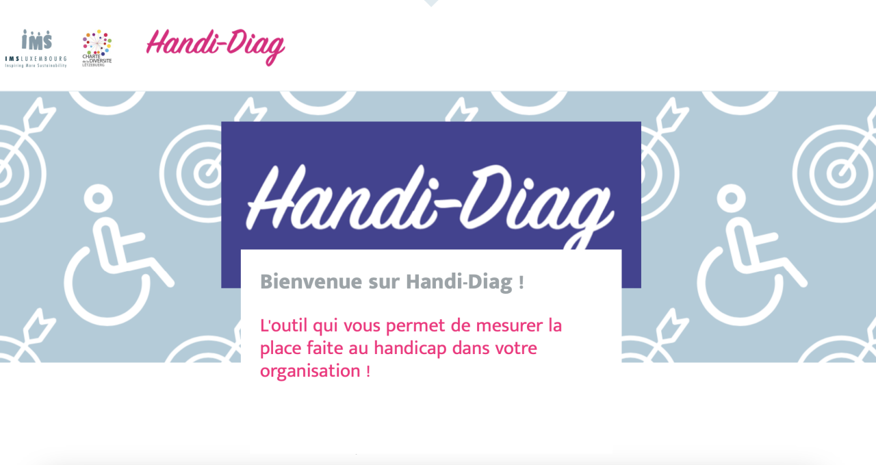 Outil Handi-Diag - Neues Fenster