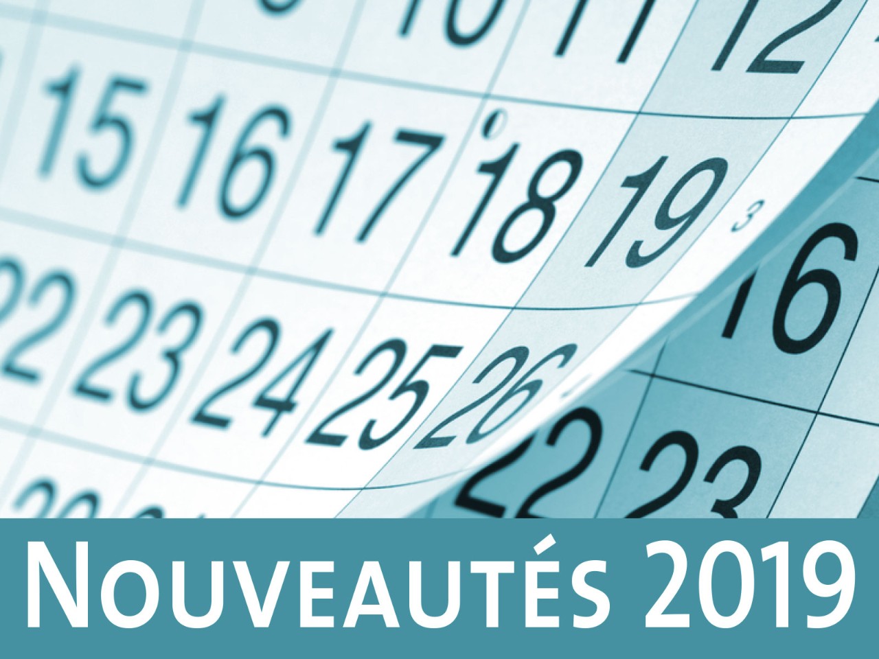 Nouveautés 2019