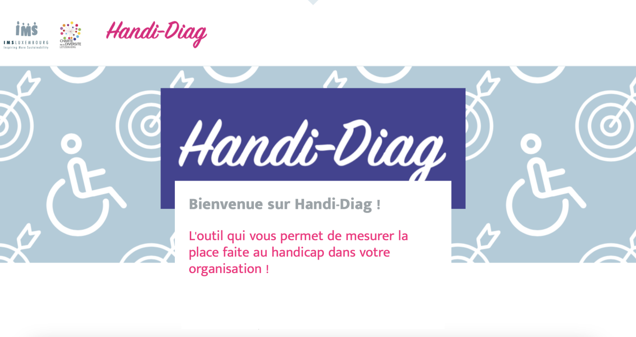 Outil Handi-Diag